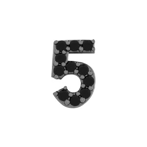 Slider Pave Number 5 Charm