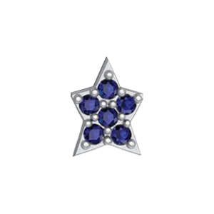 Slider Star Charm - Image 10
