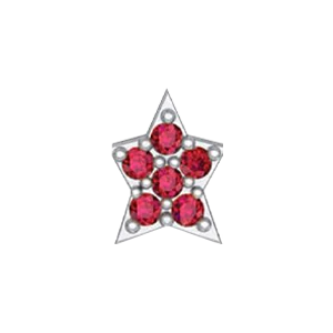 Slider Star Charm - Image 11