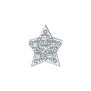 Slider Star Charm - Image 12
