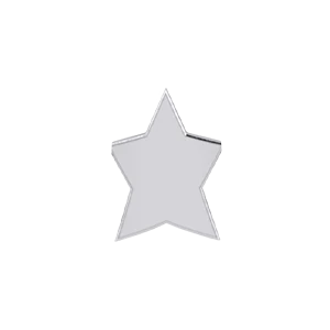 Slider Star Charm - Image 13