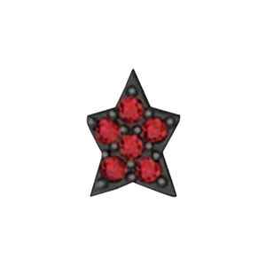 Slider Star Charm - Image 4