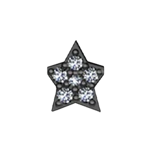 Slider Star Charm - Image 5